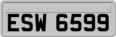 ESW6599