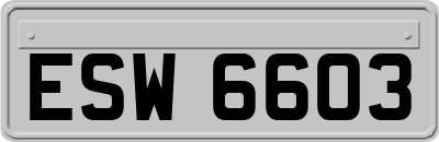 ESW6603