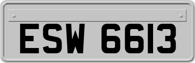 ESW6613