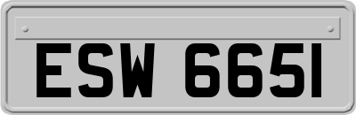 ESW6651