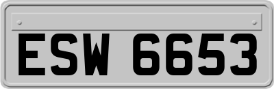 ESW6653
