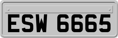 ESW6665