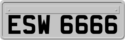 ESW6666
