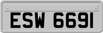 ESW6691
