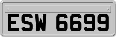 ESW6699