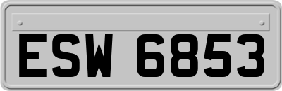 ESW6853