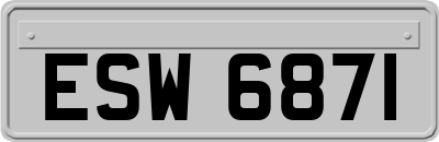 ESW6871