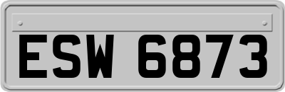 ESW6873