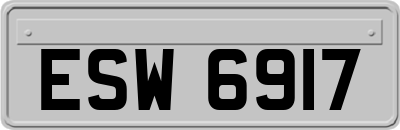 ESW6917
