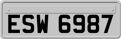 ESW6987