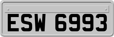 ESW6993