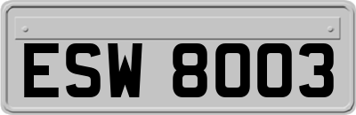 ESW8003