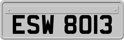 ESW8013