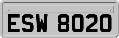 ESW8020
