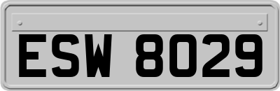 ESW8029