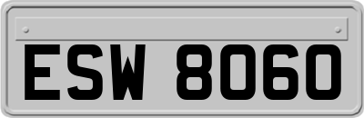 ESW8060