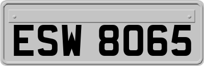 ESW8065