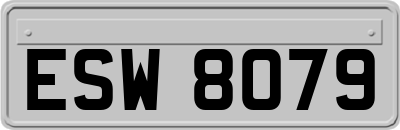 ESW8079