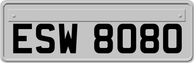 ESW8080