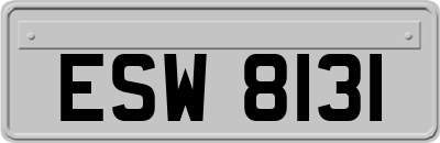 ESW8131