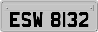 ESW8132