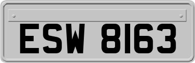 ESW8163