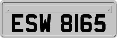 ESW8165