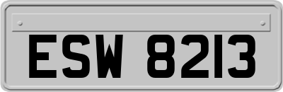 ESW8213