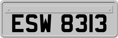 ESW8313