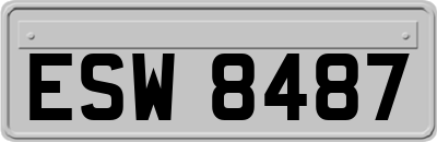ESW8487