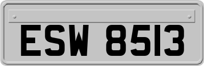 ESW8513