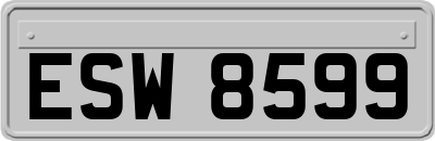 ESW8599