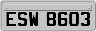 ESW8603