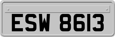 ESW8613