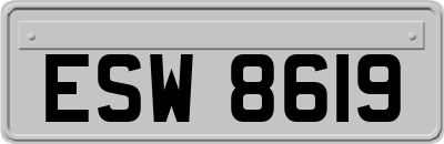 ESW8619