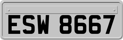 ESW8667