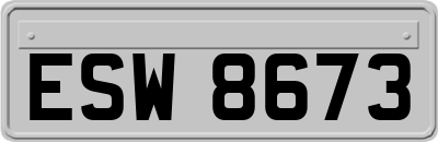 ESW8673