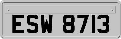 ESW8713