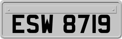 ESW8719