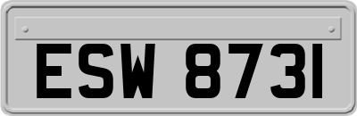 ESW8731