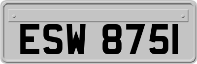 ESW8751
