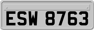 ESW8763