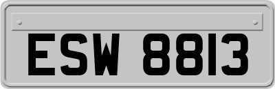 ESW8813