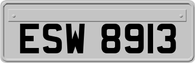 ESW8913