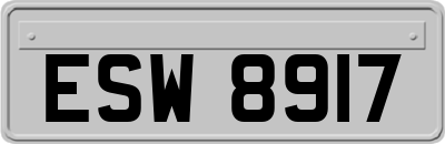 ESW8917