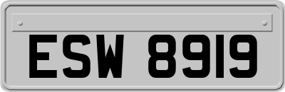 ESW8919