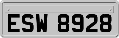 ESW8928