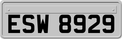 ESW8929