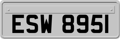 ESW8951