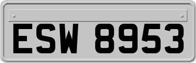 ESW8953